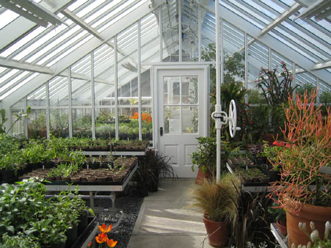 The Greenhouse April 2007