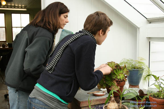 Lila and Gail taking cuttings