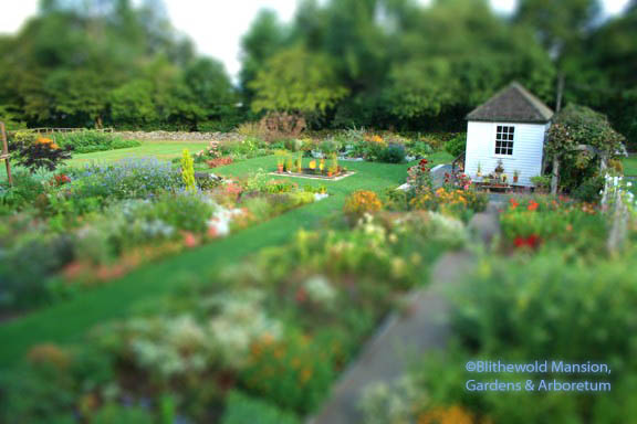 The Cutting Garden in September - tiltshift 