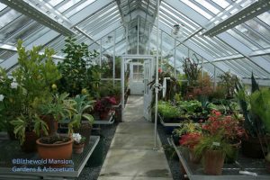 Plenty of greenhouse space 2-18-09