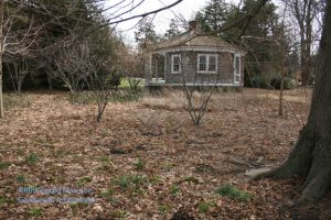 Behind the Summerhouse 2-18-09