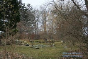 Subtle willow and dogwood glow in the Water Garden