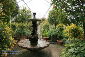 Inside one of Haskell's greenhouses