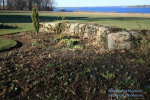 Trout lilies (Erythronium) and Scilla emerging in the North Garden