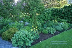 North Garden May Gap
