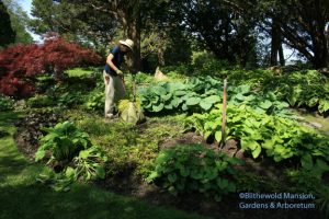 Rock Garden wet slope redo phase 1 - divide and conquer