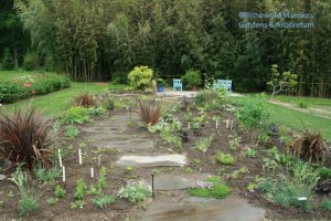 all planted - can you see it?