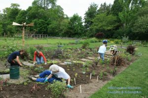 Deadheads planting