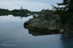 the infinity pool