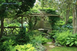 a pergola in the Japanese garden