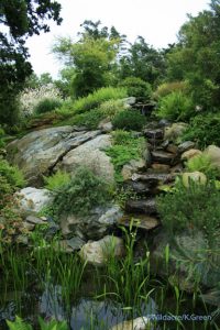 the waterfall in the Japanese garden