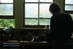 Lilah at the potting bench