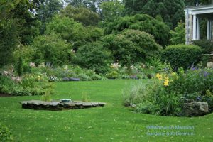 Rainy morning in the North Garden