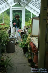 Gail cleaning out the propagation house