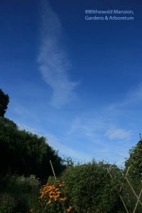 Mare's tails and mackerel's scales 8-28 (they were even better yesterday.)