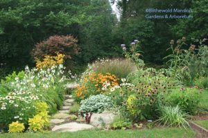 The stone bench bed in the Display Garden