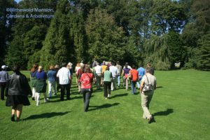 Tour across the Enclosed Garden to a "Dirr favorite" katsura