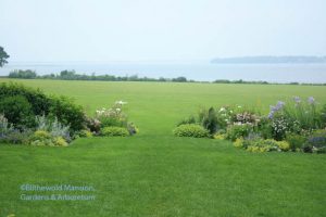 The North Garden horseshoe in late June