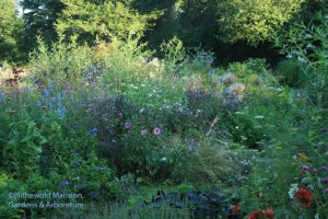 a frothy view within the purple bed