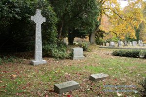 The McKee family plot