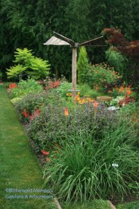 The tiger eye sumac at the top left of the "kid's bed" - in August