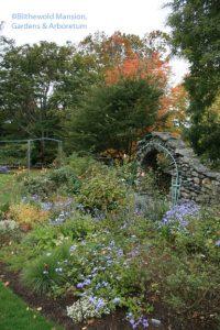 The Rose Garden on October 15, 2009