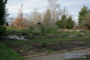 boneless Display Garden