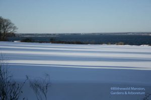 Great Lawn snow-shadows