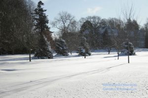 Christmas card view