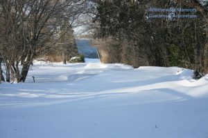 snow drifts on the lane