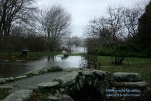 pond and bay flood, 12-3-09