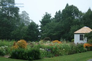 Pumphouse as the Cutting Bed bookend