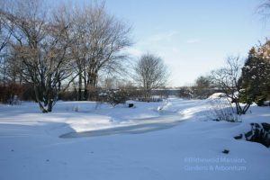 Water Garden snow globe