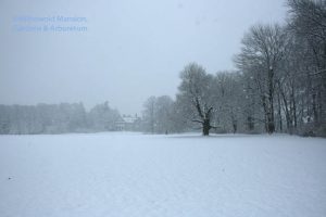 mansion view through the snow 12-31-09