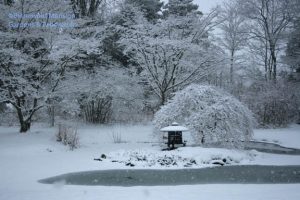 snowy pond 12-31-09