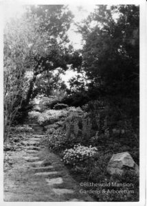 Rock Garden c. 1960