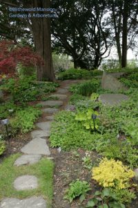 Rock Garden path c. April 28, 2010