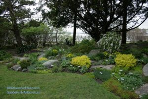 Rock garden before editing, 4-27-10