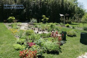 the painters' palette of plants for the big Display  Garden bed