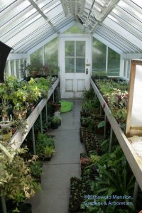 the propagation house filled to the gills with seedlings.