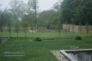 View of the vegetable garden through the new Metasequoia hedge