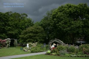 Rose Garden - peak and squall