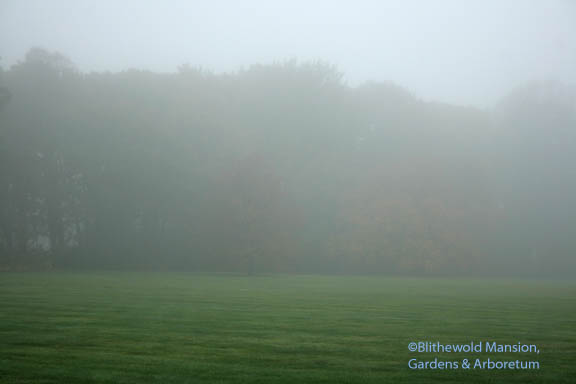 foggy morning eyetest 