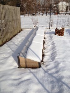 Snow on Cold Frames