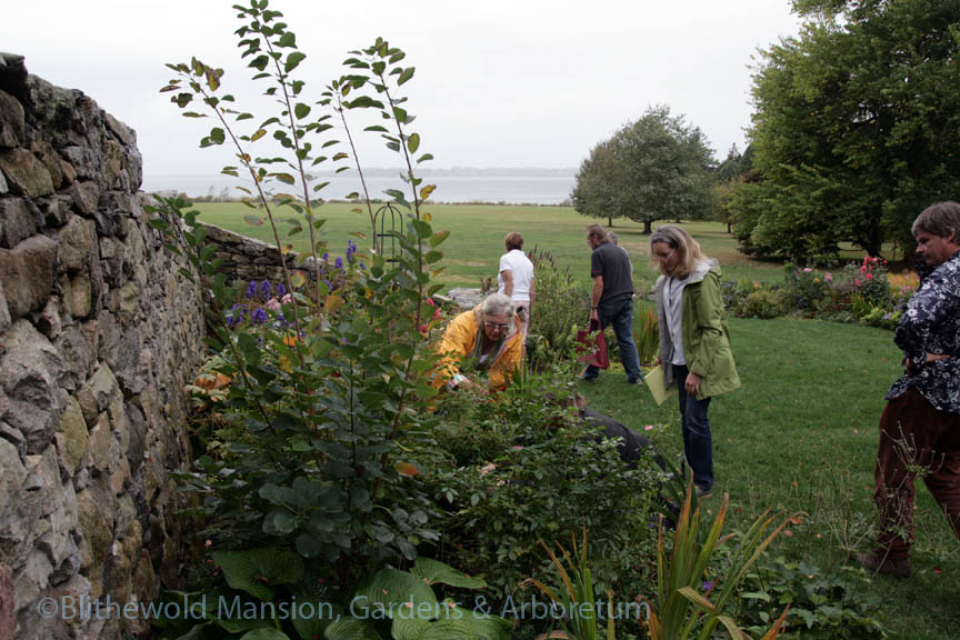 Pam, Julie and Christine take a closer look at a perennial in the North Garden