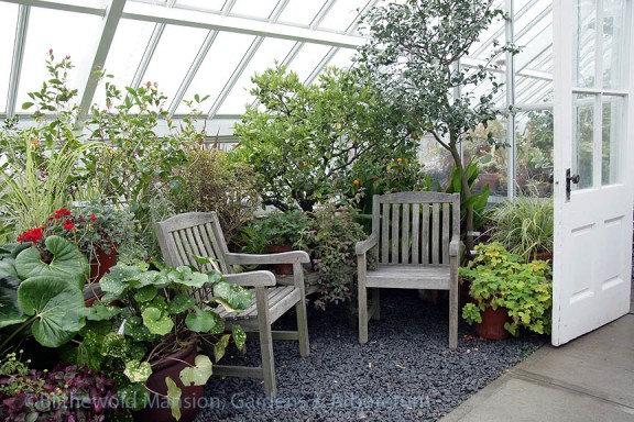 Conversation corner in the greenhouse