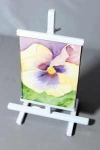 shop-pansy