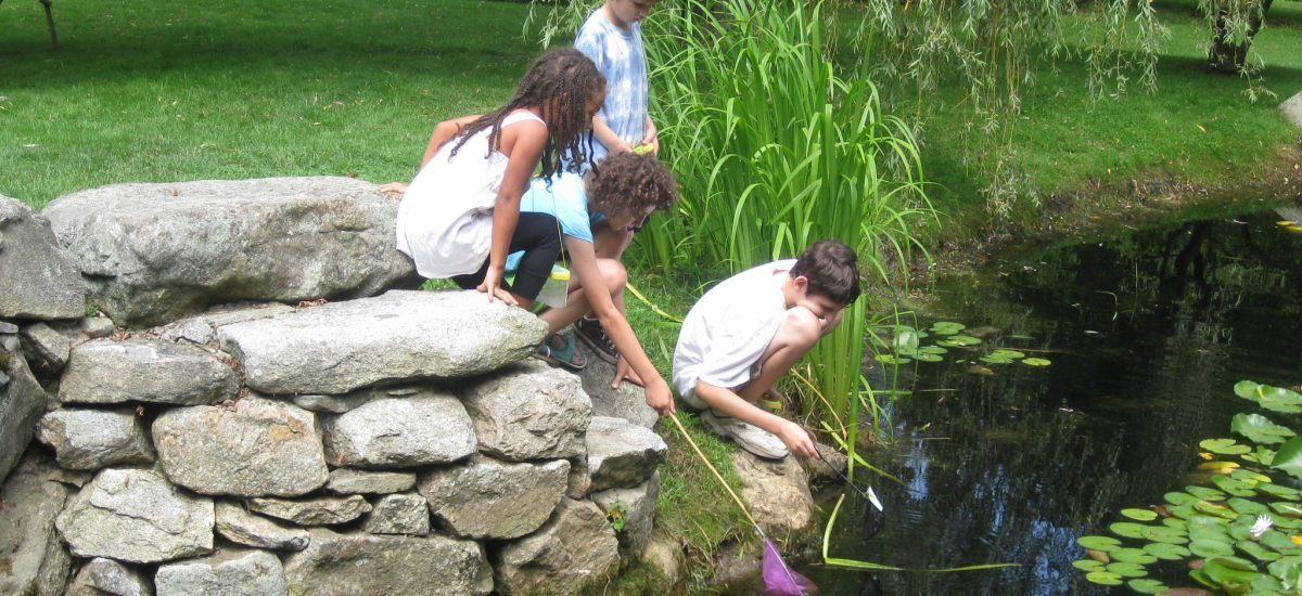 Click to see more camp fun!
