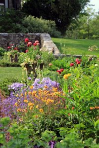 North Garden, Flowers