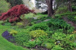 Rock Garden, Flowers